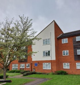 Site view